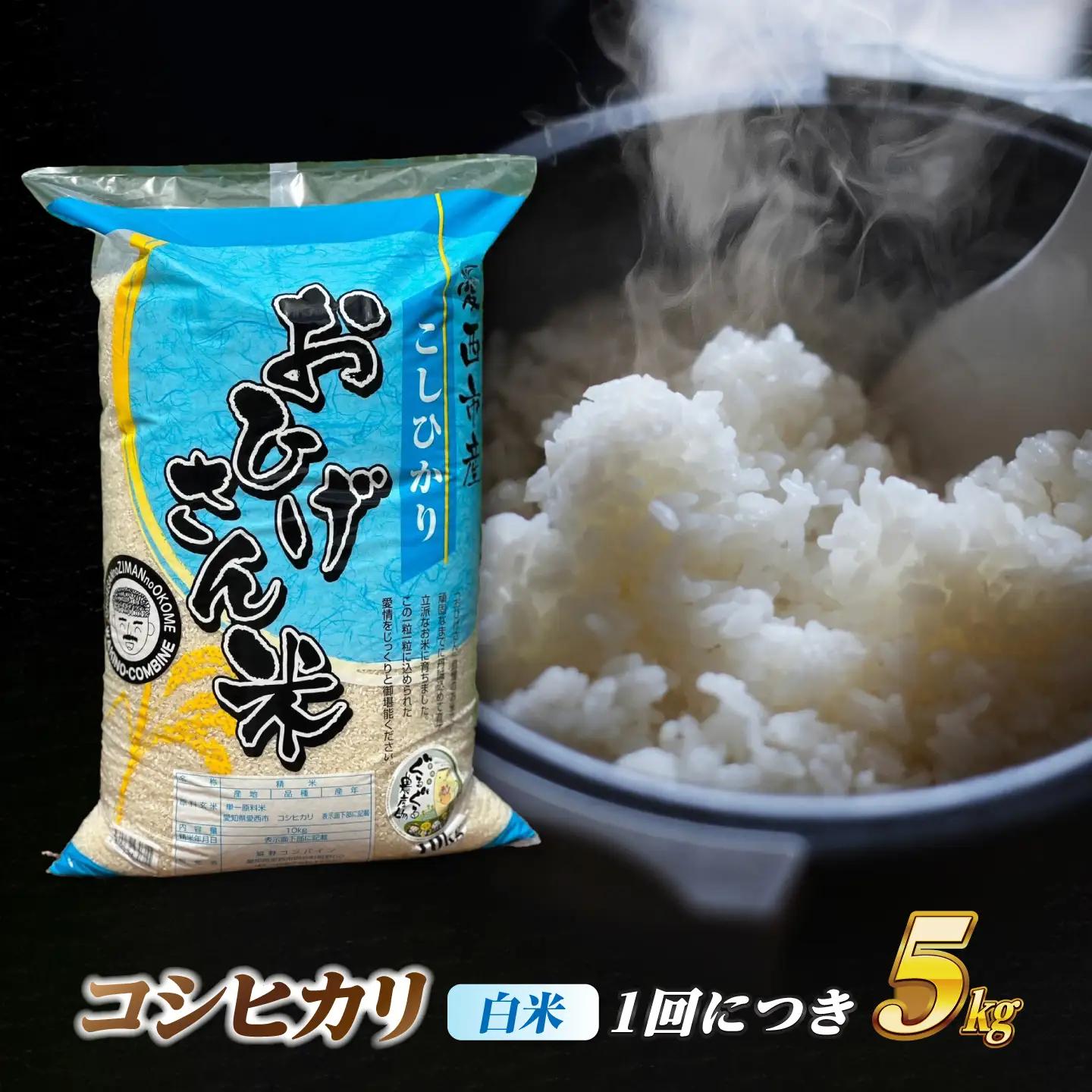 【6回定期便】コシヒカリ 白米 5kg×6か月 / 脇野コンバイン[AECP025]