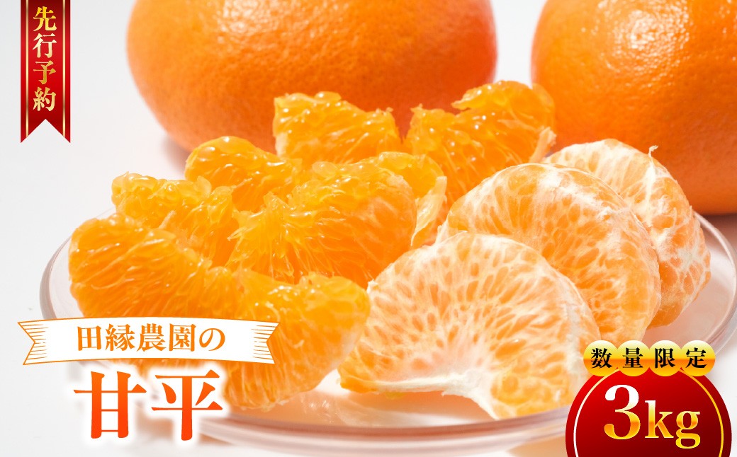 
                  【先行予約】【数量限定】田縁農園の甘平（かんぺい）3kg ※離島への配送不可 （2027年1月25日より順次発送） 【 ふるさと納税 人気 おすすめ ランキング みかん ミカン 蜜柑 甘平 かんぺい フルーツ 果物 愛媛県産 田縁農園 愛媛県 伊方町 送料無料 】 IKTA016
                