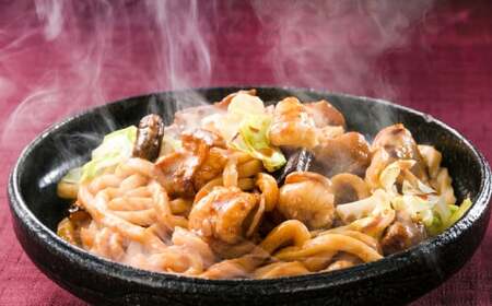 【6ヶ月定期便】ご当地グルメ 津山 ホルモンうどん セット （4人前×6回） 計24食 ／ 6回定期便 うどん 国産牛肉 国産牛 ホルモン 牛ホルモン 肉 お肉 タレ付き 甘辛 レシピ付き グルメ セ