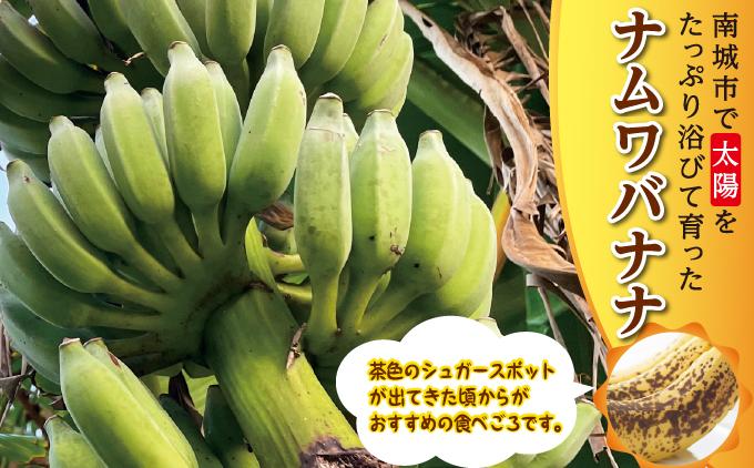 バナナ 南城市 ナムワバナナ 5kg