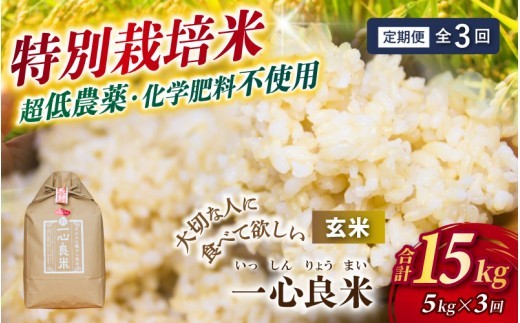 ＜全3回定期便＞ 真庭市産コシヒカリ 米ぬか 牡蠣栽培米 『 一心良米 』 玄米 5kg×3回 【令和8年産】 / お米 いっしんりょうまい 岡山県 こしひかり 人気 ブランド 2026年産 新米 【tkns-tkb050】