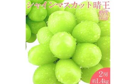 【お中元対象商品】晴王 シャインマスカット晴王 2房 約1.4kg 【先行予約：2026年7月上旬～8月上旬発送予定】 岡山県産 種無し 皮ごと食べる みずみずしい 甘い フレッシュ 温室栽培 晴れの国 おかやま 果物大国 満天フルーツ