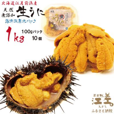 ふるさと納税 江差町 ★2025年分先行受付★江差前浜産 生うに 1kg 海洋深層水パック(無添加・みょうばん不使用)