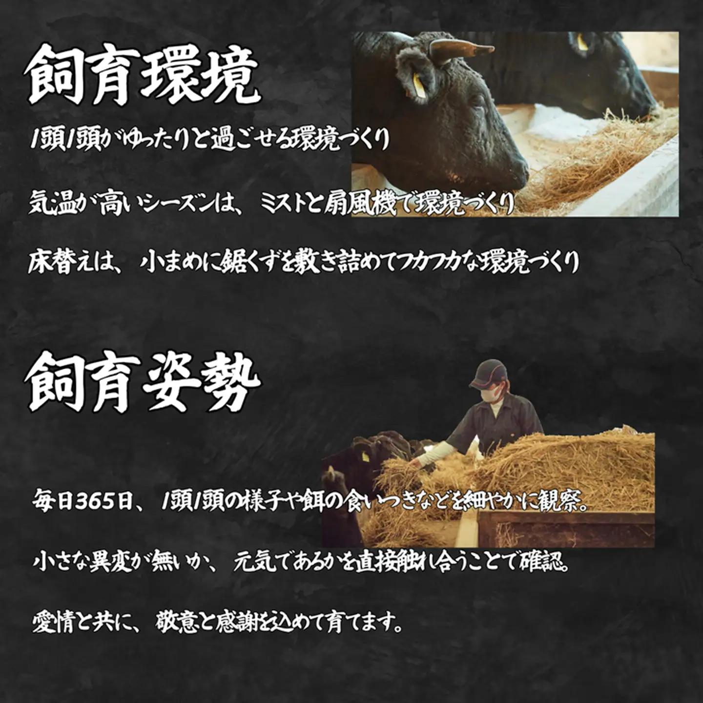 【定期便12回】【牧場直送】佐賀牛ハンバーグステーキ 8個 ：C232-027
