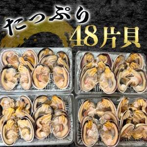 岬だより 天然大あさり釣り餌用 6個入り×4袋セット [配送不可地域：離島]