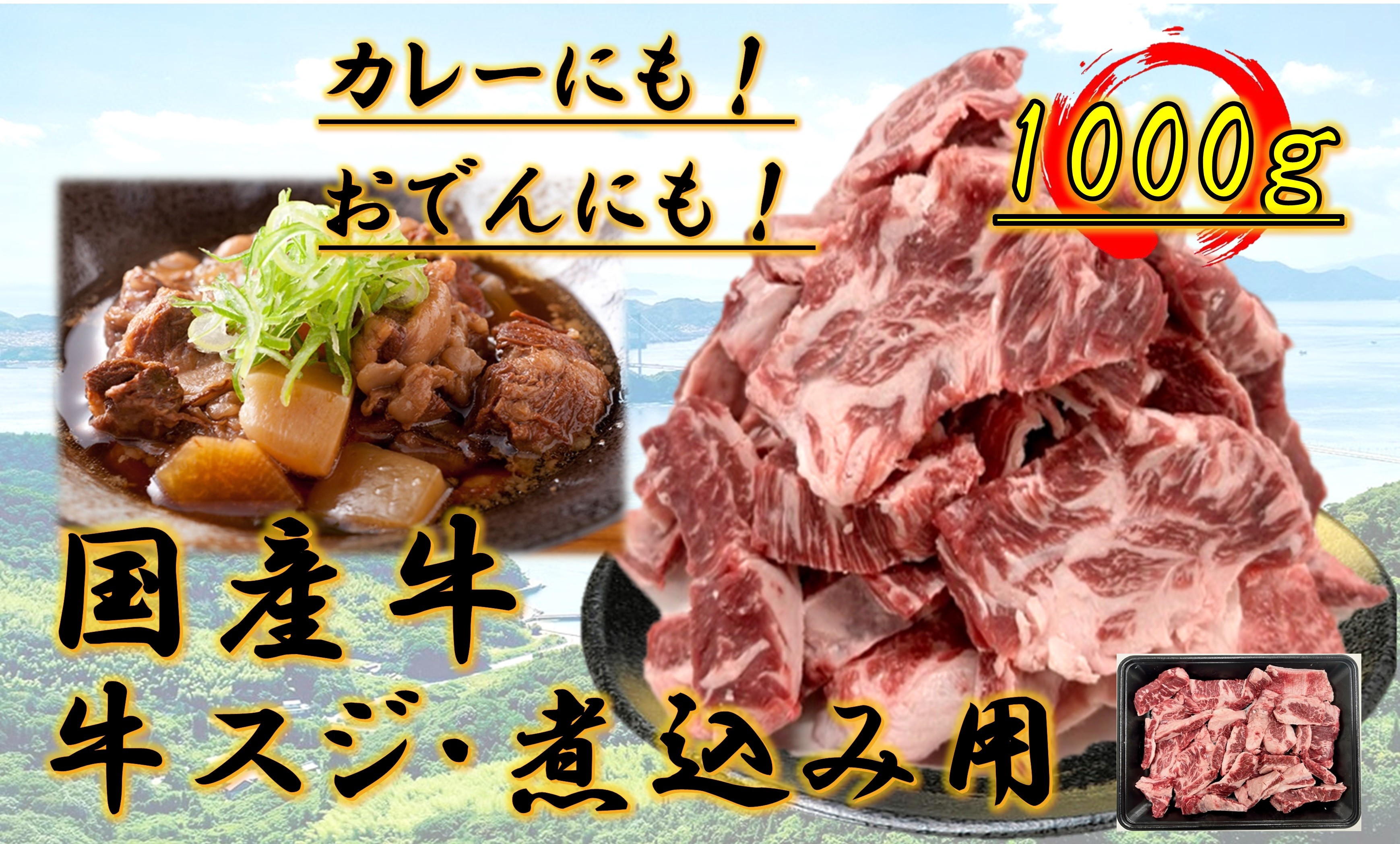 
            国産牛　スジ　1kg
          