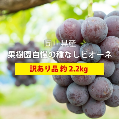 
                  ＜きよとうファーム＞訳あり品 種なしで甘い葡萄の王様「ピオーネ」 /約2.2kg(岡山県産)_ぶどう 訳あり ピオーネ 2.2kg 種なし 家庭用 岡山県 津山市 送料無料【1602470】
                