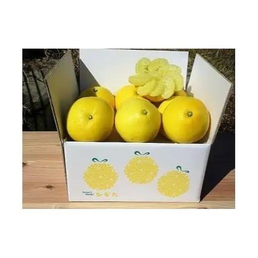 優品文旦 6kg