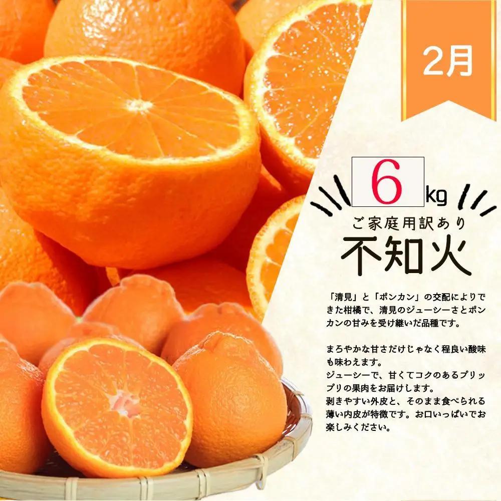 【1・2・3・4月 全4回 定期便】紀州和歌山産旬のご家庭用柑橘セット(みかん・不知火・せとか・清見)【UT130】