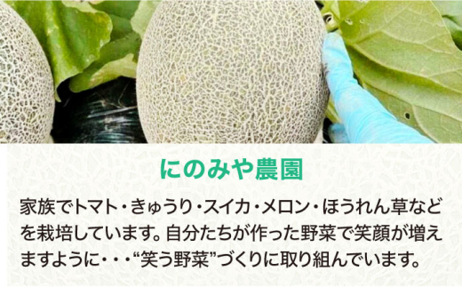 メロン 【先行予約】【2026年6月下旬から順次発送】 タカミ メロン S?Mサイズ 3?4玉入り（1.5kg?2.2kg/玉） 先行予約 3玉 4玉 タカミメロン 糖度 高い 甘い 芳醇 希少 旬 完熟 産地直送 にのみや農園 愛媛県大洲市/にのみや農園[AGDG002] メロン果物 くだもの フルーツ 新鮮 愛媛県産 大洲市産 産地直送 おすすめ 人気 お取り寄せ 送料無料 贈答 ギフト