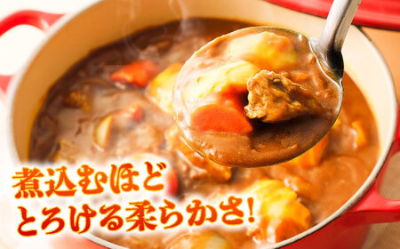 【全6回定期便】馬スジ 約1kg (約500g×2パック) / 馬肉 スジ 馬すじ 煮込み 煮物 カレー お肉 スジ肉 スジ すじ肉 料理用 馬 肉 熊本 すじ【五右衛門フーズ】[BHCY043]