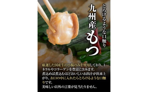 いろはのもつ鍋セット 2~3人前 株式会社いろは《30日以内に出荷予定(土日祝除く)》 もつ鍋 あごだし 味噌---skr_firmotnab_30d_23_16600_3p---