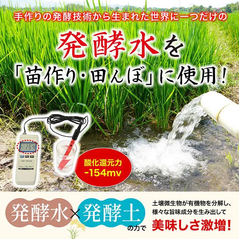 先行予約 ササニシキ 玄米 10kg 令和8年 無農薬 新潟県産 ササニシキ
