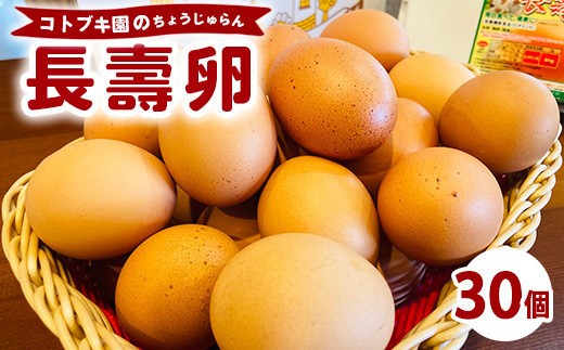 当社自慢の卵 長壽卵 30個入り  |  卵 たまご タマゴ ちょうじゅらん 鶏卵 玉子 国産　※離島への配送不可