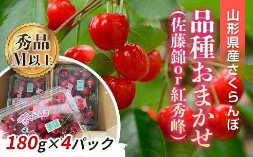 【令和9年産先行予約】 さくらんぼ 「佐藤錦または紅秀峰」 720g (180g×4パック 秀 M以上) 《令和9年6月中旬～発送》 『南陽中央青果市場』 小分け フードパック サクランボ 果物 フルーツ 山形県 南陽市 [2583]