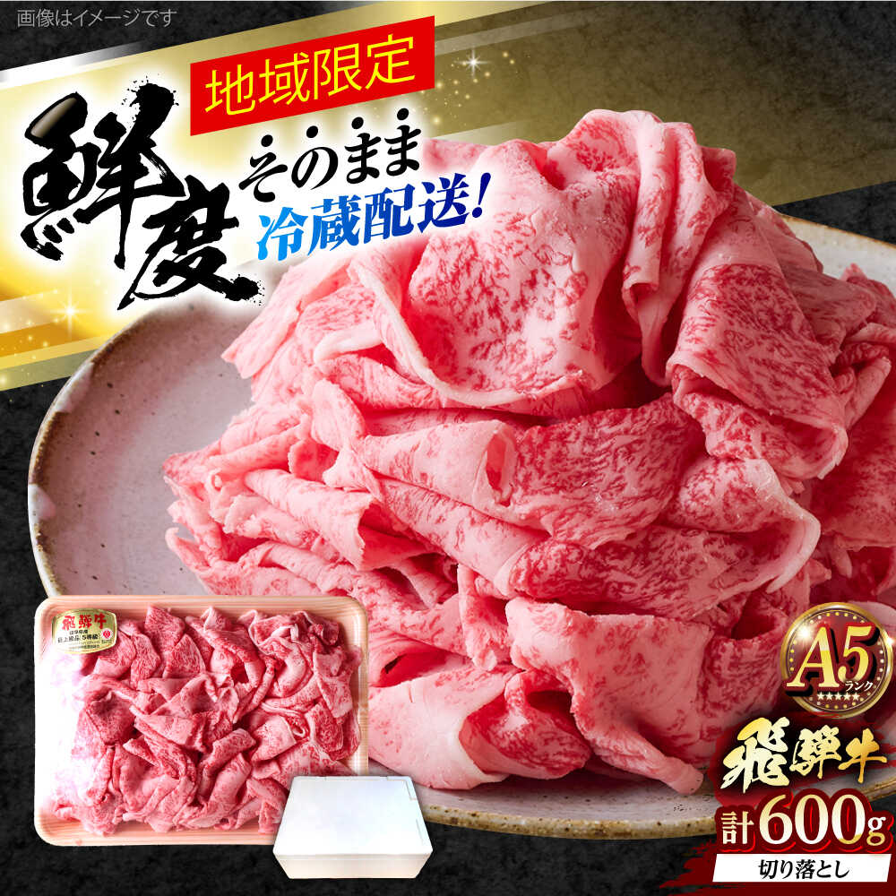 【ふるさと納税】※冷蔵配送/地域限定※ 飛騨牛 切落し (ロースまたは肩ロース) 600g 瑞浪市 / きなぁた瑞浪 和牛 国産 岐阜県産 飛騨牛 ひだぎゅう 切り落とし [AZCI029]