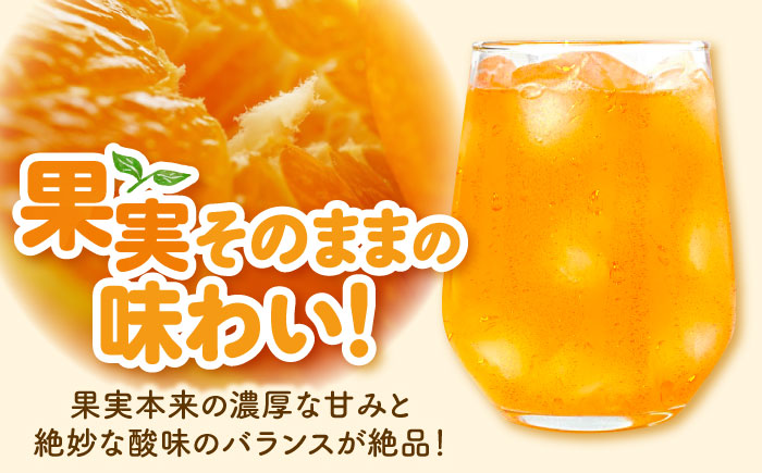 果実そのままの味わい！不知火100％ジュース 720ml×6本　愛媛県大洲市/玉川農園 [AGBC002]みかん オレンジ フルーツ ミカン 果物 かき氷 みかんジュース 愛媛みかん こたつ みきゃん