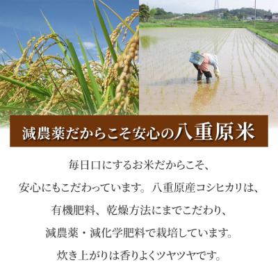 ふるさと納税 東御市 【令和7年産】八重原産コシヒカリ白米2kg 特別栽培米(減農薬・減化学肥料栽培)【太陽と大地】 |  | 03