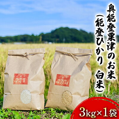【ふるさと納税】【令和8年度産】奥能登粟津のお米（能登ひかり　白米）3kg×1袋 　お届け：10月中旬～6月下旬