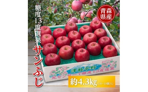 りんご/青森県産　糖度13度選果 サンふじ 約4.3kg【1655307】