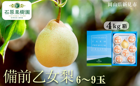 備前乙女梨 (ヤーリー) 6～9玉 約4kg 【先行予約 2025年11月中旬から順次発送】