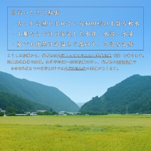 【令和7年度新米】2025年9月10月収穫　コシヒカリ5kg　2025年11月下旬・12月下旬分先行予約　信州長和町産　長野県産　一等米