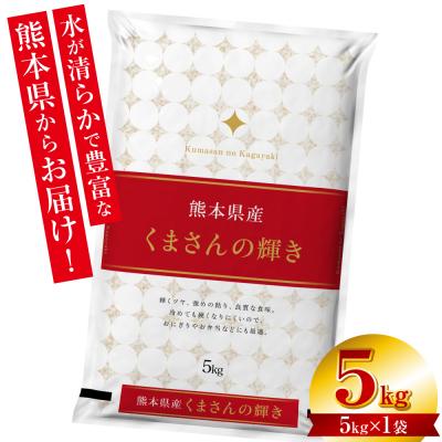 ふるさと納税 八代市 【先行予約】《令和8年産》 熊本県産 くまさんの輝き 5kg (5kg×1袋)_132-6727-C