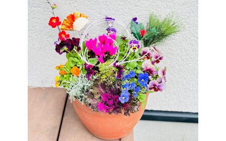 新年を華やかに彩る お正月の寄せ植え(おまかせ) / 正月飾り 花苗 鉢 ピック【GreenlifeYoshimura】[BHBG001]