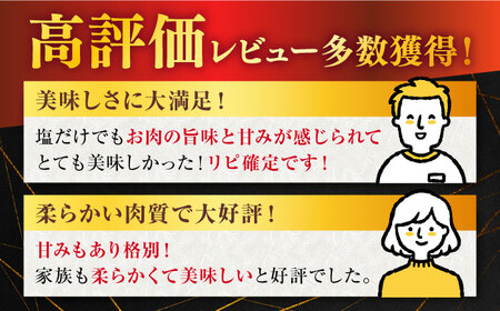 【12回定期便】佐賀牛 A5 厳選部位 焼肉用 800g (400g×2P)【桑原畜産】[NAB231] 佐賀牛  牛肉 肉 佐賀 黒毛和牛 佐賀牛 牛肉 A5 佐賀牛 牛肉 a5 ブランド牛 牛肉 