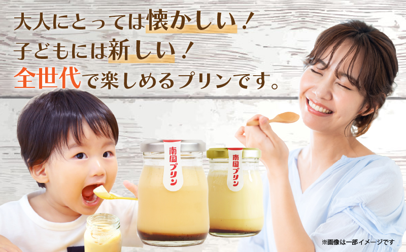 南国プリン「テゲセボン(計9個)」 スイーツ 洋菓子 国産_T038-0051
