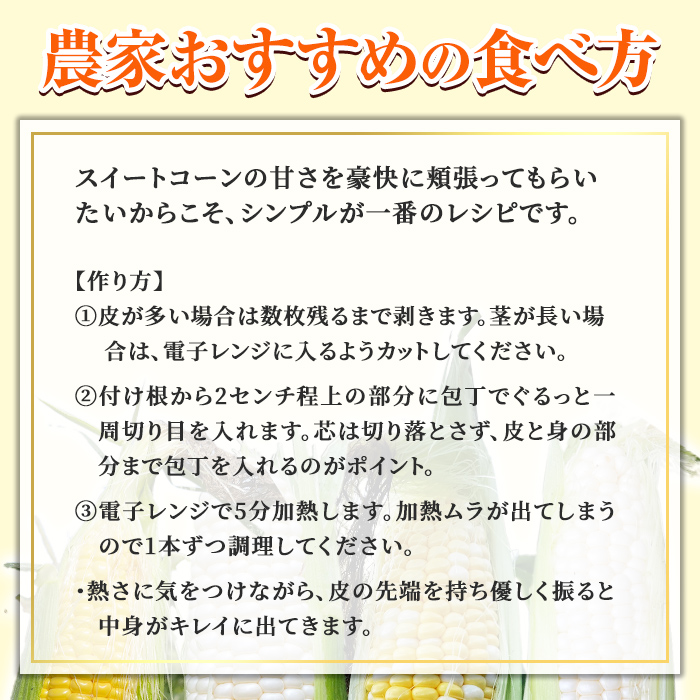 ＜期間限定＞天塩川源流スイートコーン ゴールドラッシュ (10本) 【2026年8月下旬より順次発送】北海道産 北海道 士別市 とうもろこし トウモロコシ とうきび コーン 野菜 産地直送 【三栄アグ