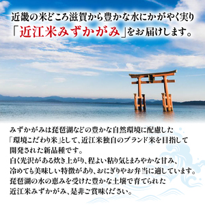 【定期便】令和5年産 みずかがみ 10kg 全6回 近江米 みずかがみ 米粉 200g付（竜王町 みずかがみ）