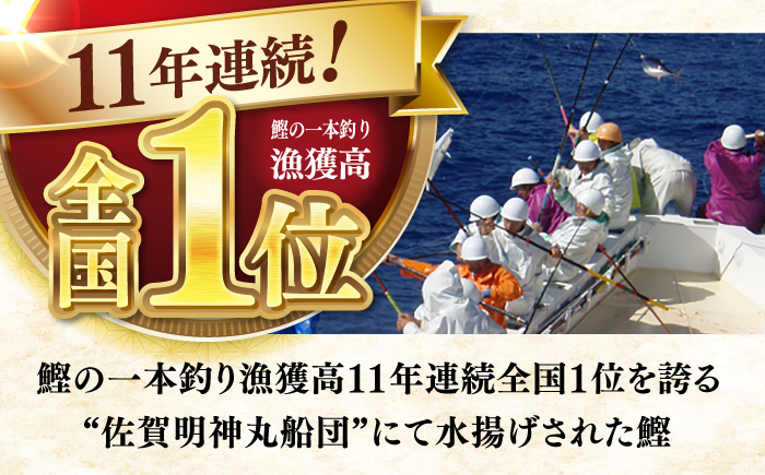 【12回定期便】明神水産 藁焼き鰹 (カツオ) たたき 2袋 (約500g) セット 総計約6kg 【株式会社 四国健商】 [ATAF136]