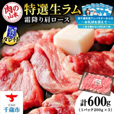 ふるさと納税 千歳市 【千歳市開港100年記念10月22日入金分まで】〜お礼状を添えて〜特撰生ラム 600g＜肉の山本＞