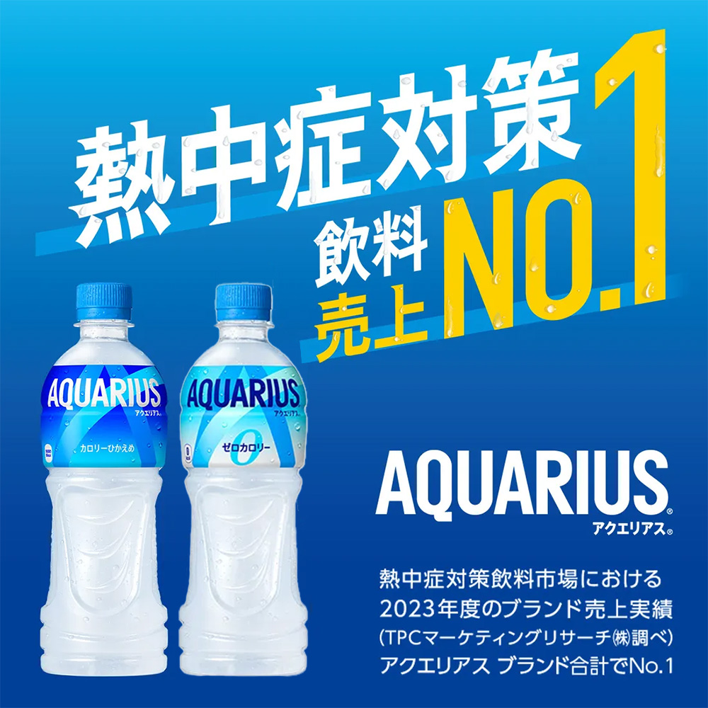 【6か月連続お届け】アクエリアスゼロ　500ml PET×24本　【04301-0663】_イメージ2