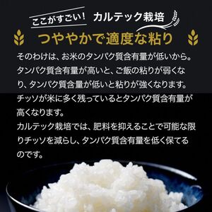 令和7年産 新米 京都丹波産 コシヒカリ 10kg 西村ファーム 京ほたる米
