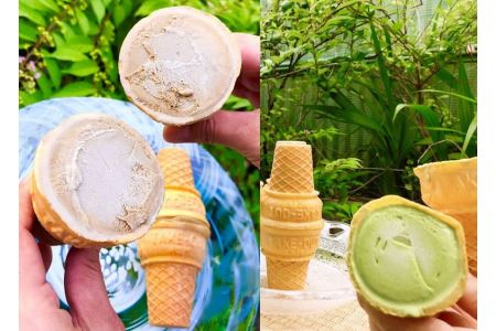 平野屋自家製「抹茶アイス」と「ほうじ茶アイス」のセット＜6月～10月のお届け＞ 冷菓 お菓子 おやつ アイス 抹茶アイス ほうじ茶アイス 自家製 夏季限定 お取り寄せ ひんやりグルメ 【069_1339】