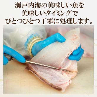 <冬のお届け> 旬のお刺身 2種類 (2~3人前×2種類) 魚 切身 鮮魚 刺身セット 刺身2種盛り 刺身 お刺身 お刺し身 魚介 海の幸 小分け 個包装 冷凍 鯛  愛媛県 松山市