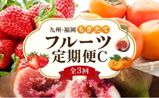 ＜定期便・全3回＞九州・福岡もぎたて フルーツ定期便 C|果物 旬 国産 産地直送 いちご イチゴ 苺 あまおう かき カキ 秋王 とよみつひめ いちじく イチジク 無花果 送料無料 那珂川市 福岡県