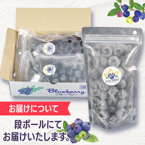 冷凍ブルーベリー 約500g（1袋500g） ブルーベリー ブルーベリー ブルーベリー ブルーベリー ブルーベリー アグリモバード
