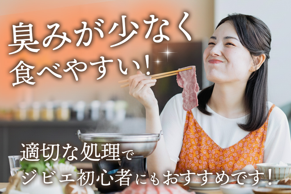 脊振ジビエ イノシシ肉バラエティセット 約1.4kg【脊振 ロース ばら 肩ロース ミンチ カレー 鍋 セット】(H059118)