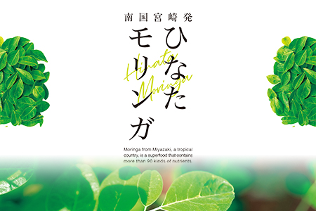 ＜ひなたモリンガパウダー25g＞宮崎県三股町産モリンガ使用「ひなたモリンガ」パウダー25g入り(1個)【MI261-ys】【吉原建設株式会社】