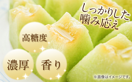【2025年5月～発送】【さわやかな味!】訳あり タカミメロン 2箱セット（傷もの）/ メロン めろん フルーツ 果物 / 南島原市 / 南島原果物屋[SCV026]