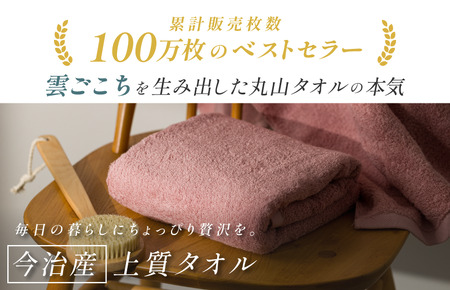 ふるさと納税限定 今治産 上質フェイスタオル 5枚セット（ベージュ）【I003510FT5BE】