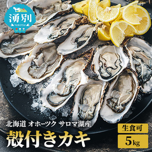 牡蠣 北海道サロマ湖産 殻付き 生食可 牡蠣【5kg】