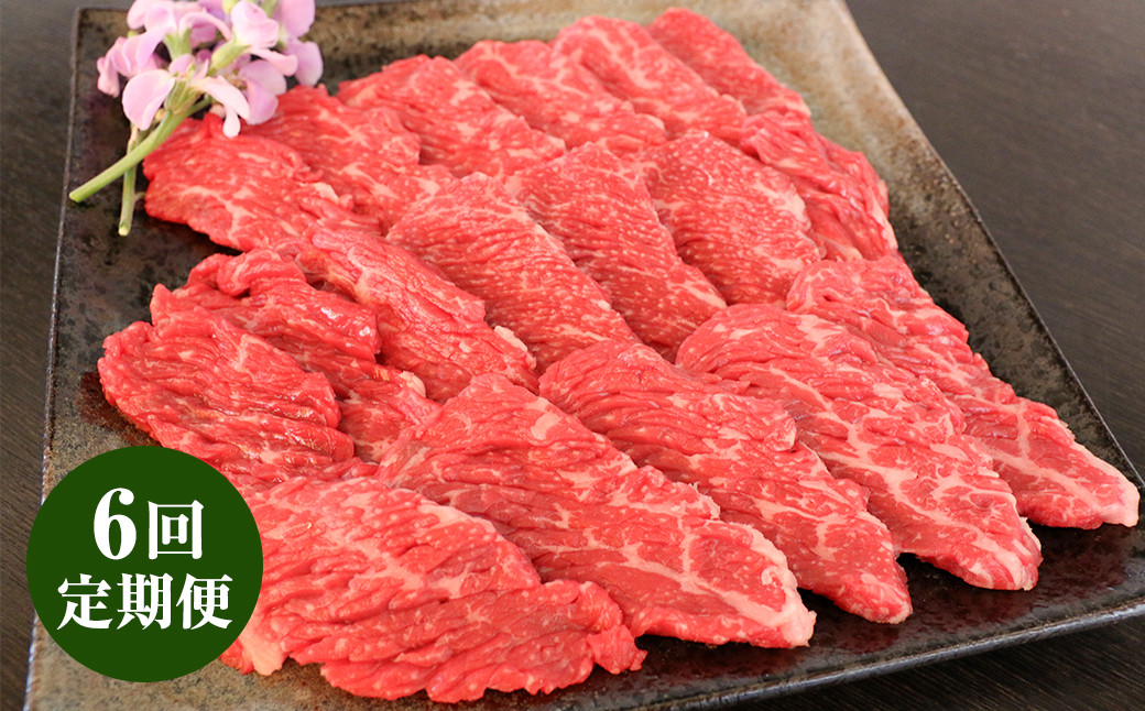 
                  【6回定期便】【GI認証】くまもとあか牛 ロース 焼肉用 500g お肉 肉 牛肉 あか牛 焼肉 焼き肉 BBQ バーベキュー 6回 6ヶ月 定期便 合計3kg 3000g 冷凍 お取り寄せ
                