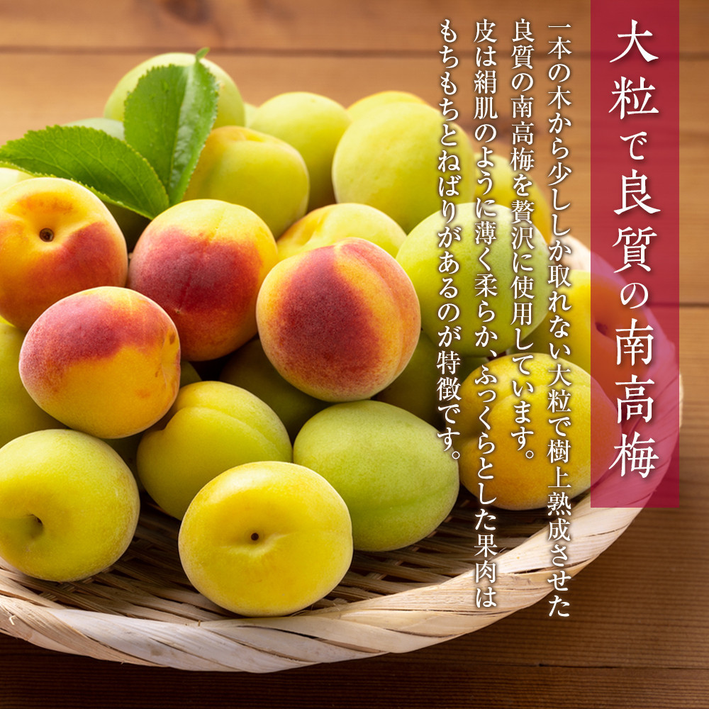 梅干し 紀州南高梅 徳用 はちみつ梅 1.5kg×1箱 ［Kn7］