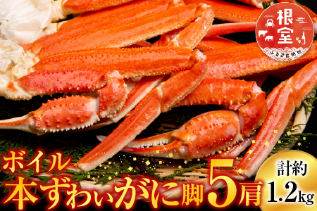 根室海鮮市場＜直送＞ボイル本ずわいがに脚5肩(計約1.2kg) A-28248
