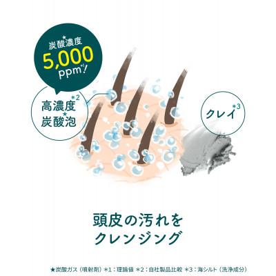 ふるさと納税 幸手市 モッチスキン 吸着スパークリングシャンプー |  | 03