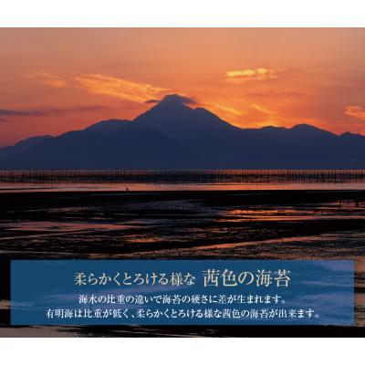 ふるさと納税 福智町 有明海産 焼き海苔 ボトル4本(10切100枚×4本 計400枚)定期便(毎月×6回) |  | 03